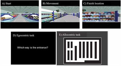 Path Integration Changes as a Cognitive Marker for Vascular Cognitive Impairment?—A Pilot Study